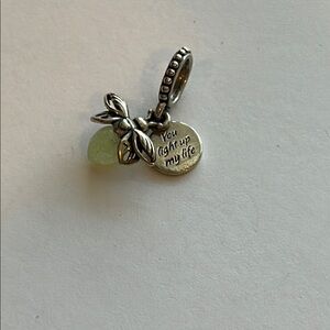 You light up my life Pandora Dangle Charm firefly glow in the dark